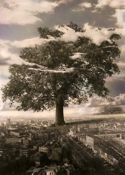 الشجرة في إزلنغتون بواسطة حاج حاج