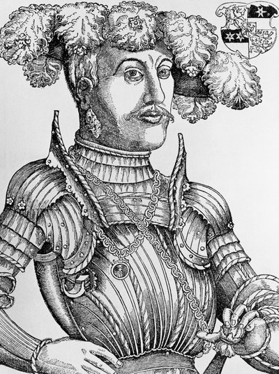 صورة لفيليب الأول ، Landgrave of Hesse ، المعروفة باسم Magnanimous (1504-1567) ، نقش بواسطة Hans Brosamer (1495-1554) بواسطة هانز بروسامر