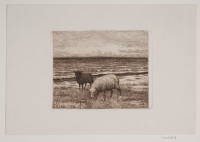 الأغنام على الشاطئ بواسطة Hans Christian Gether Caspersen