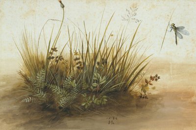 قطعة صغيرة من العشب 1584. بواسطة هانز هوفمان