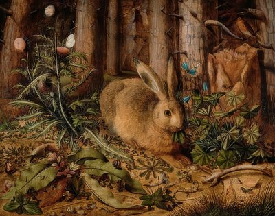 أرنب في الغابة. حوالي 1585 بواسطة هانز هوفمان