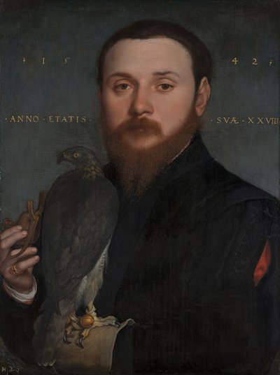 صورة لنبل مع صقر ، 1542 بواسطة Hans Holbein der Jüngere