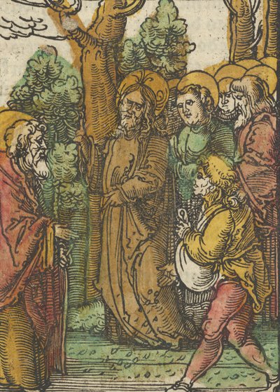 مثل الزارع والأعشاب ، من Das Plenarium ، 1517. بواسطة هانز شوفيلين الأكبر
