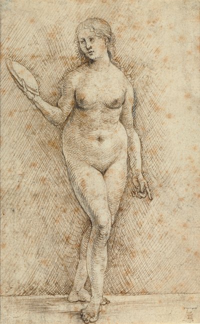 عاري مع مرآة (Vanitas) بواسطة هانز فون كولمباخ