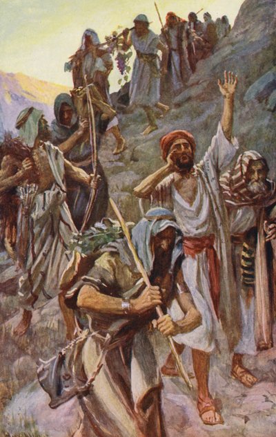  بواسطة هارولد كبينج