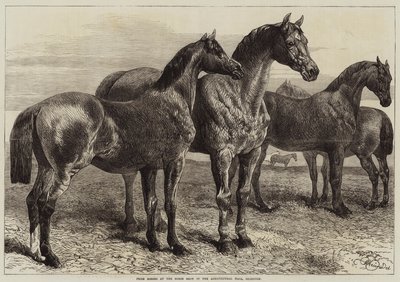 جائزة الخيول في معرض الخيول في القاعة الزراعية ، Islington بواسطة Harrison William Weir
