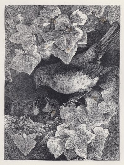 Robin Lectured by His Father (engraving) بواسطة هاريسون ويليام وير