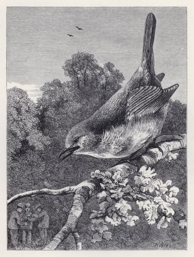 The Robin Watching the Boys with the Nest (engraving) بواسطة هاريسون ويليام وير