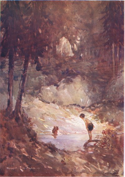 قال السنجاب لجيلبرت (من The Forest Foundling) "يمكنك أيضًا القفز إلى الداخل الآن" (لون ليثو) بواسطة هاري رونتري