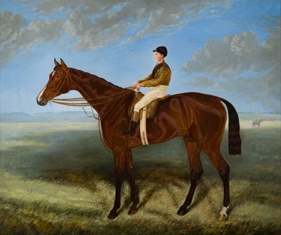 Salpinctes-A Race Horse ، حوالي 1814-1882 (زيت على قماش) بواسطة هاري (بعد) هول