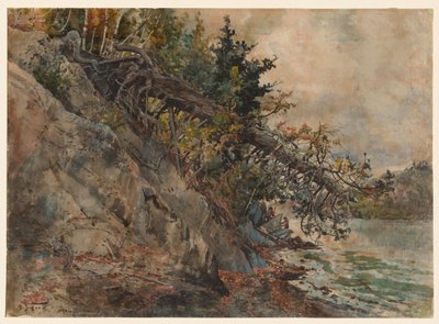 بحيرة Memphremagog ، ج. 1880. بواسطة هاري فين
