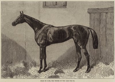 Fille de l&39;Air ، الفائز في The Oaks لعام 1864 بواسطة هاري هول