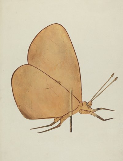 ريشة طقس الفراشة ، ج. 1938. بواسطة عسلي هايد