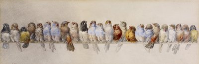 فرخ الطيور ، حوالي عام 1880 (ألوان مائية وجرافيت على ورق) بواسطة هيكتور جياكوميلي