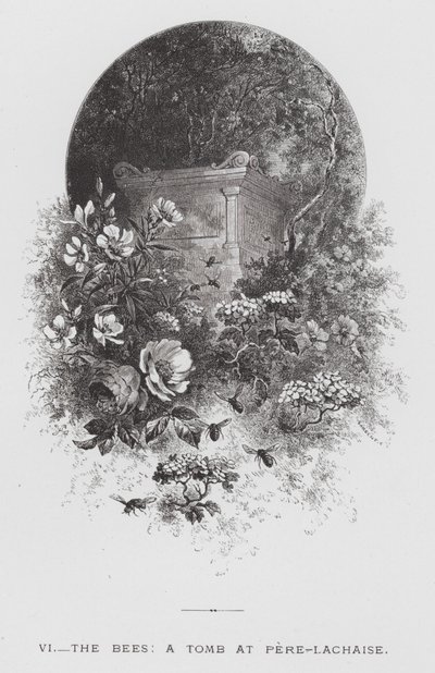 The Insect: The Bees, a Tomb at Pere-Lachaise (engraving) بواسطة هيكتور جياكوميلي