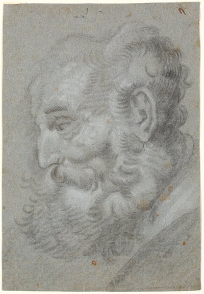 رأس الرجل العجوز ، الملف الشخصي إلى اليسار بواسطة Heinrich Dittmers