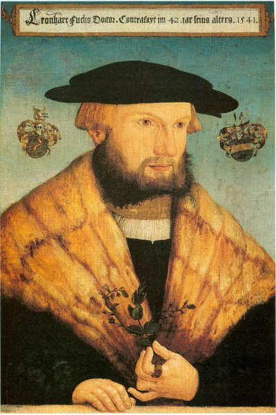 بورتريه لليونهارت فوكس (1501-1566) بواسطة هاينريش فولماورير
