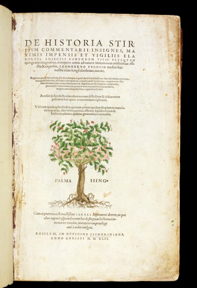 صفحة العنوان من "De Historia Stirpium Commentarii Insignes" ، بقلم ليونارد فوشس (1501-66) ، منقوش بواسطة رودولف سبيكل (ت 1550) ، تم نشره عام 1542 بواسطة هاينريش وماير ، ألبرت فولمورير