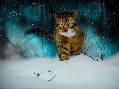 صنع المسارات ، 2019 (الرسم المركب) بواسطة هيلين وايت