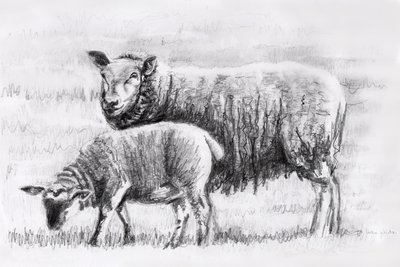 زوج، 2018 بواسطة هيلين وايت