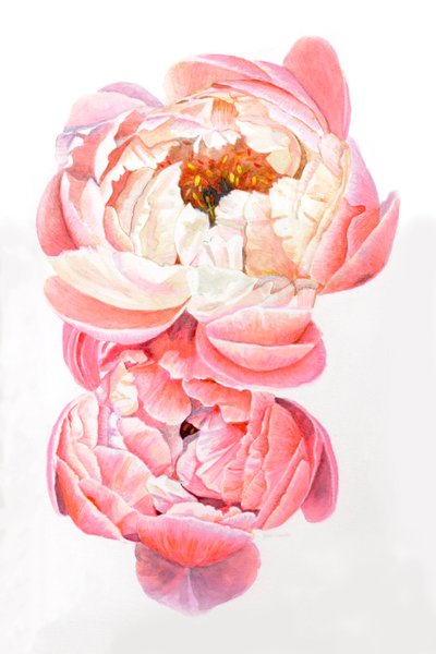 زهور الفاونيا، 2021 بواسطة هيلين وايت