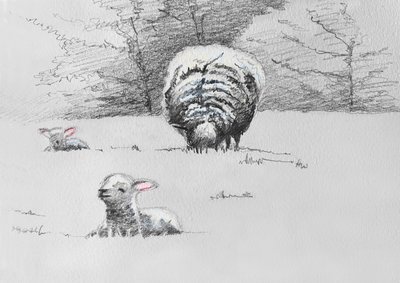 ثلاثي الأغنام، 2022 بواسطة هيلين وايت