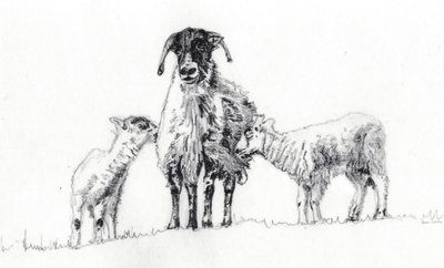 نحن الثلاثة، 2012 بواسطة هيلين وايت