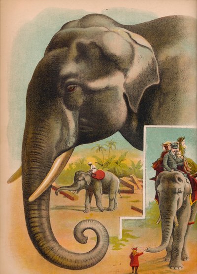 الفيل ، c1900 بواسطة هيلينا ج. ماغواير
