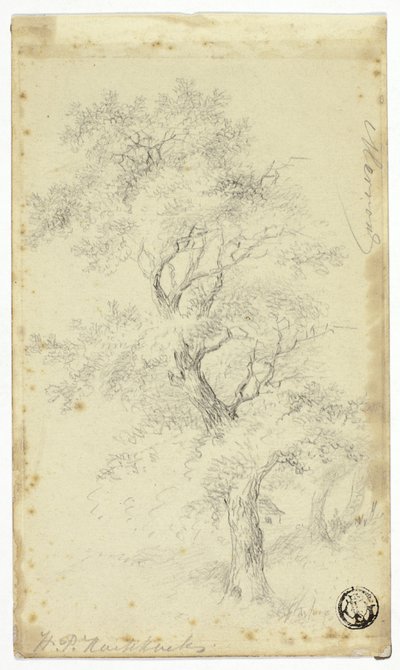 ميرون بواسطة هندريك بيتر كوكوك