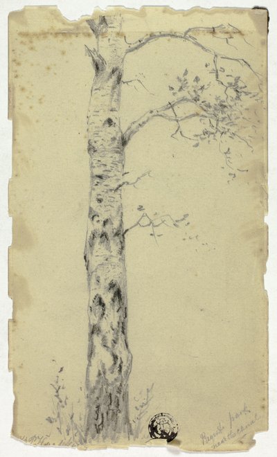 ريجنت بارك بالقرب من القناة بواسطة هندريك بيتر كوكوك