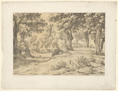 عرض الغابات Tentamina Lithographica (عنوان السلسلة) المناظر الطبيعية الإيطالية (عنوان المسلسل) بواسطة هنريك فوغد