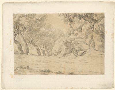 شارع به صخور متضخمة Tentamina Lithographica (عنوان السلسلة) المناظر الطبيعية الإيطالية (عنوان المسلسل) بواسطة هنريك فوغد