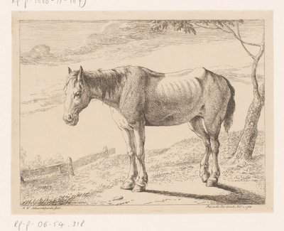 حصان حيوانات مختلفة (عنوان المسلسل) بواسطة Hendrik Willem Schweickhardt