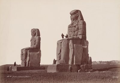  بواسطة هنري بيتشارد