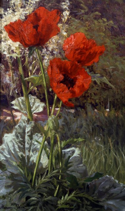 زهور الخشخاش لوحة رسمها هنري بيفا (1848-1928) مجموعة خاصة. بواسطة هنري بيفا