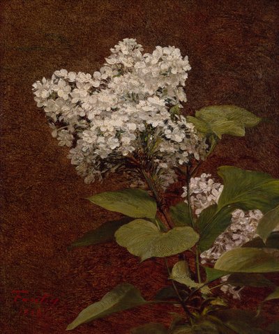 ليلك أبيض بواسطة Ignace Henri Jean Fantin Latour