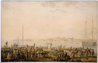هبوط الجيش البريطاني في خليج مونديجو حوالي عام 1808 بواسطة هنري ليفيك
