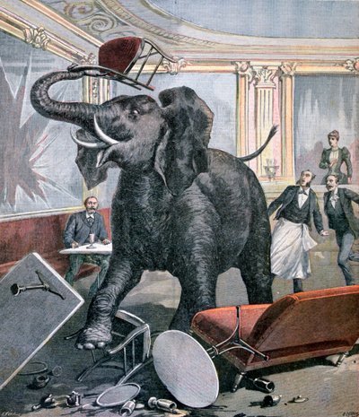 فيل في مقهى ما قبل الكاتالونية ، تولوز ، فرنسا ، 1891 بواسطة هنري ماير