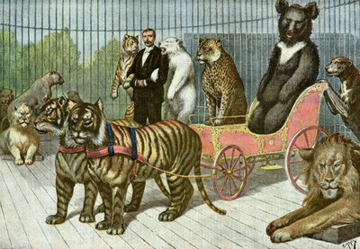 قفص بيتس فيروس في حديقة التأقلم، 1895 (رسم توضيحي) بواسطة هنري ماير