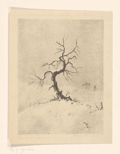 Lonely Tree (العنوان الأصلي على الكائن) بواسطة Henri Verstijnen (توقيع الفنان)