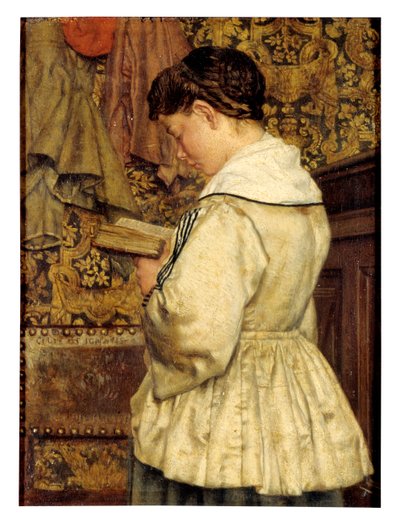 امرأة تقرأ (زيت على قماش) بواسطة هنري دي بريكلير