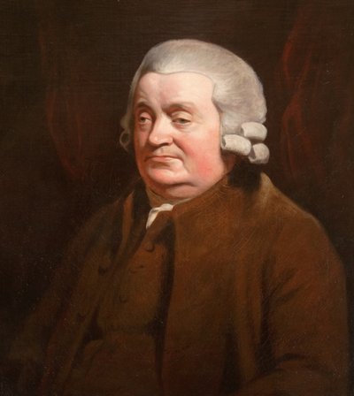 جيمس جونستون ، جراح (1721-1797) (زيت على قماش) بواسطة هنري (من أتباع) رايبورن