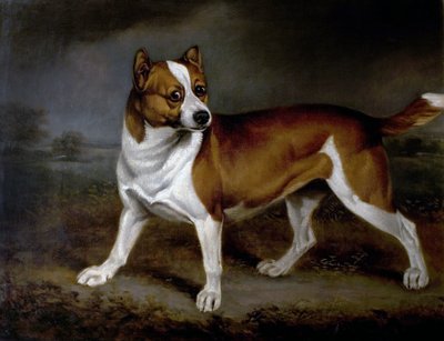 نبات القراص ، 1812 بواسطة هنري برنارد شالون