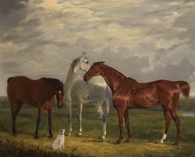 ثلاثة خيول للورد الثاني دي تيبي وكلبه ، فيك ، 1838 بواسطة هنري كالفرت