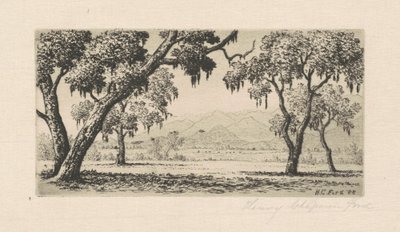 المناظر الطبيعية في كاليفورنيا ، 1888. بواسطة هنري تشابمان فورد