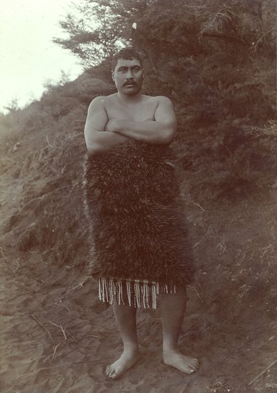  بواسطة هنري جيز