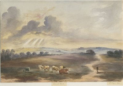 كانوك تشيس - "هيث": لوحة ألوان مائية ، 1844 بواسطة هنري جيمس نويز