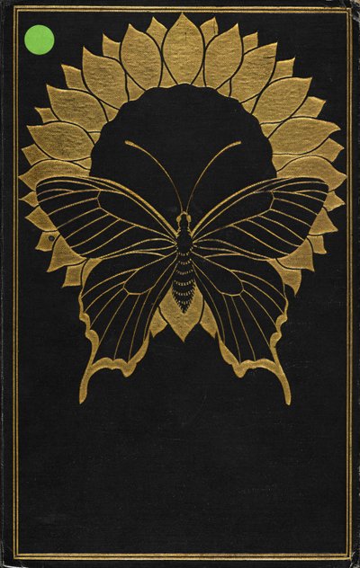 الغلاف الأمامي لـ "The Picture of Dorian Gray" ، بقلم أوسكار وايلد بواسطة هنري كين