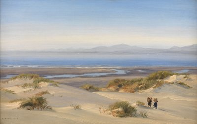 شاطئ هارلك ، 1869 بواسطة هنري مور