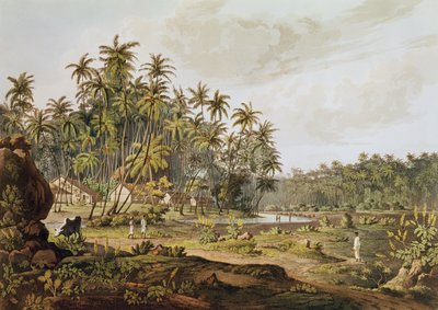 منظر بالقرب من بوينت دو جالي ، سيلان ، محفور بدانييل هافيل (1785-1826) نُشر عام 1809 بواسطة هنري سالت